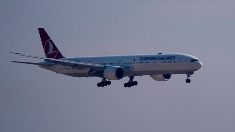 Thyaa 2353228.jpg