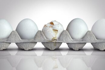 Cracked egg in carton scaled.jpg