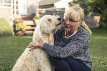 Dog licking mature woman in back yard masf23780.jpg