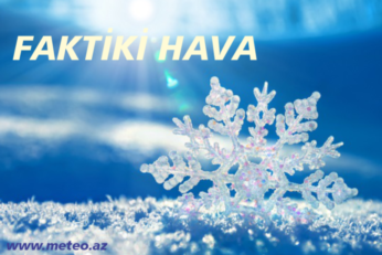 Faktikihava