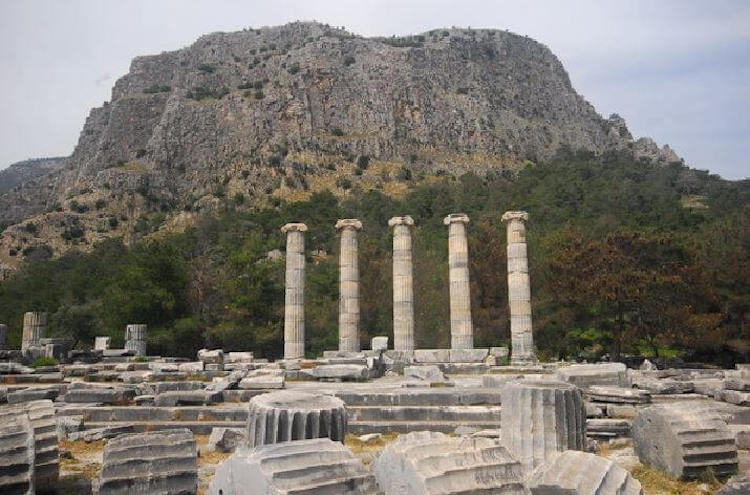 image-6