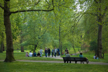 Park scaled