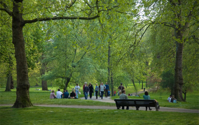 Park scaled